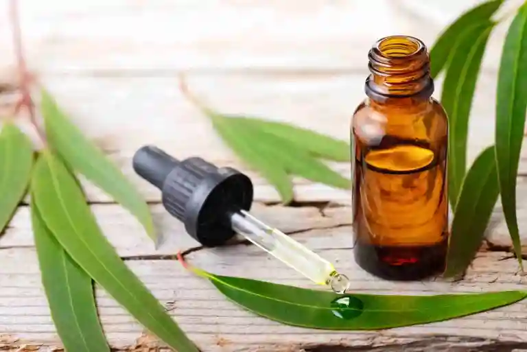 bigstock-Eucalyptus-Essential-Oil-In-Th-226643281-2048x1367-1