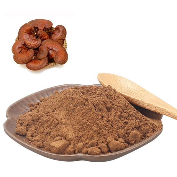 Bột nấm Mushroom extract powder -香菇精粉 15 kg