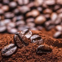 Hương cà phê  Coffee Flavor - 咖啡香精 5 kg