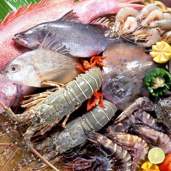 Hương hải sản( tôm, cua, cá..)  Seafood Flavor - 海鮮香精 5 kg