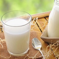 Hương sữa  Milk Flavor - 鮮奶香精 5 kg