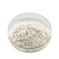 Konjac Powder (Bột Konjac) 蒟 蒻 粉 25 kg