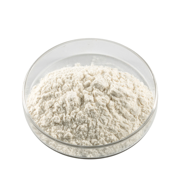 Konjac Powder (Bột Konjac) 蒟 蒻 粉 25 kg